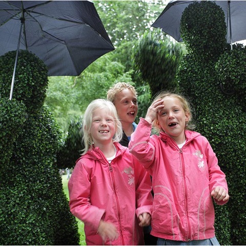 The Human Hedges seeing double at a festival in Belgium
